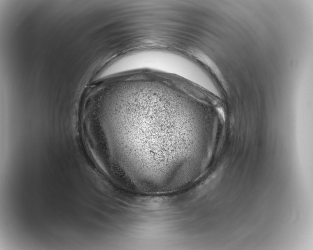 X0000088730930200706212036