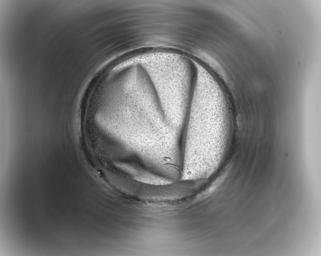 X0000088730931200706212036