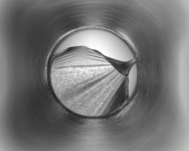 X0000088730932200706212036