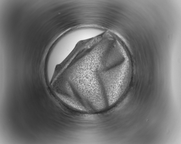 X0000088730933200706212036