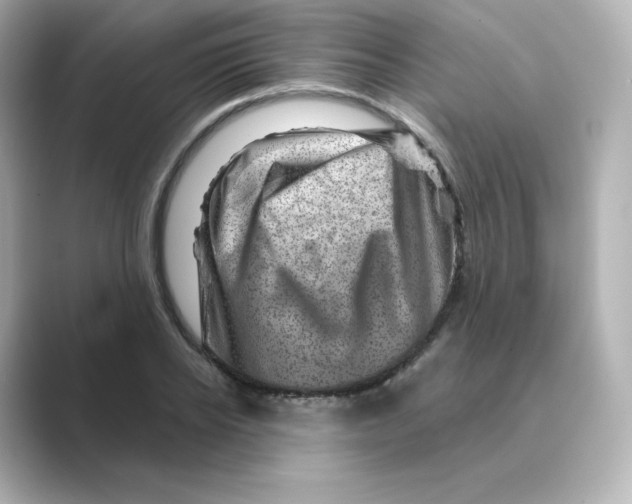 X0000088730934200706212036