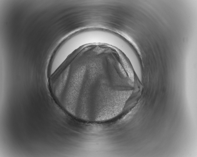 X0000088730935200706212036