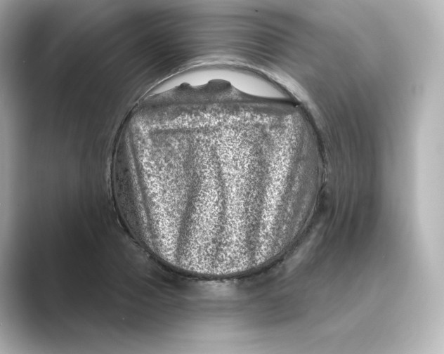 X0000088730937200706212036