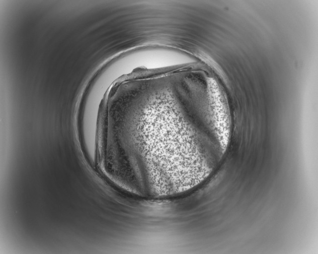 X0000088730939200706212036