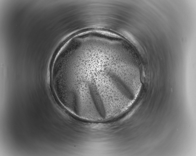 X0000088730940200706212036