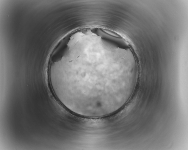 X0000088730941200706212036