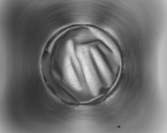 X0000088730942200706212036