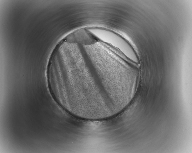 X0000088730943200706212036