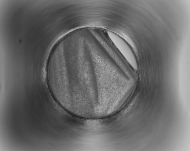 X0000088730944200706212036