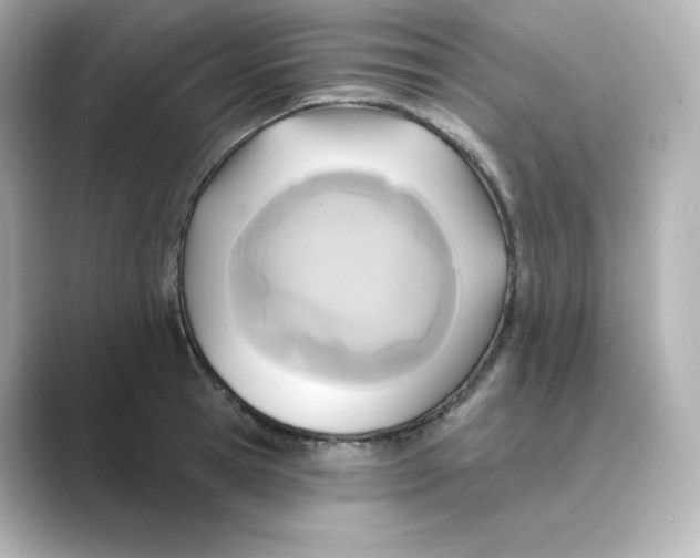 X0000088730945200706212036