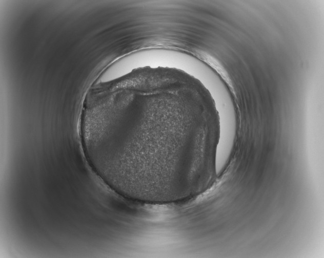 X0000088730946200706212036