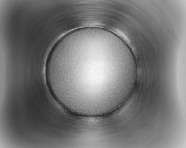 X0000088730947200706212036