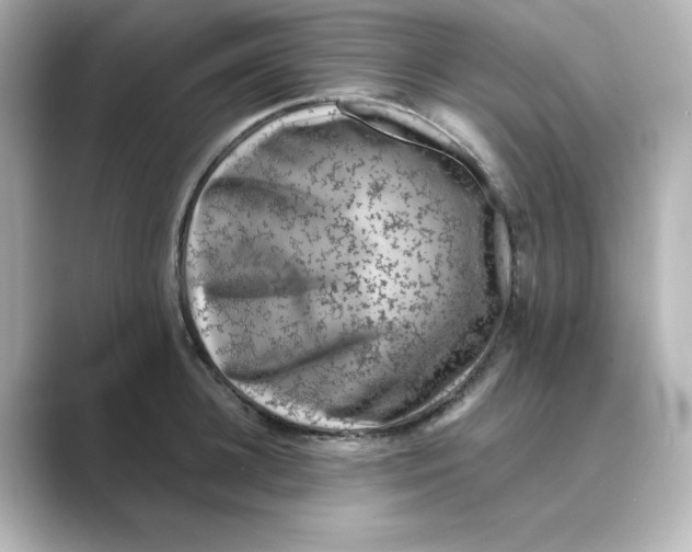 X0000088730948200706212036