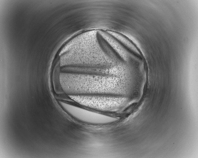 X0000088730949200706212036