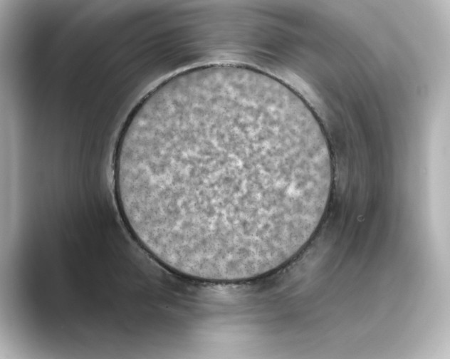 X0000088730950200706212036