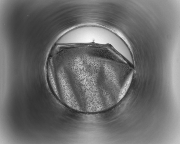 X0000088730951200706212036