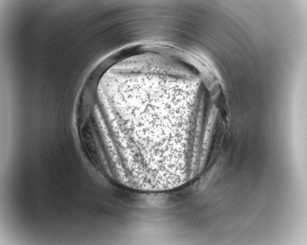 X0000088730952200706212036