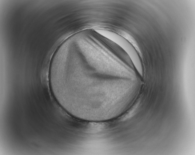 X0000088730954200706212036