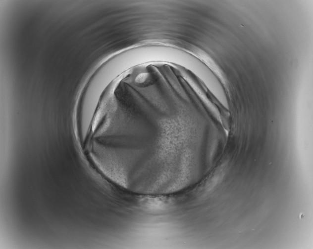 X0000088730955200706212036