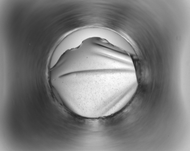 X0000088730956200706212036