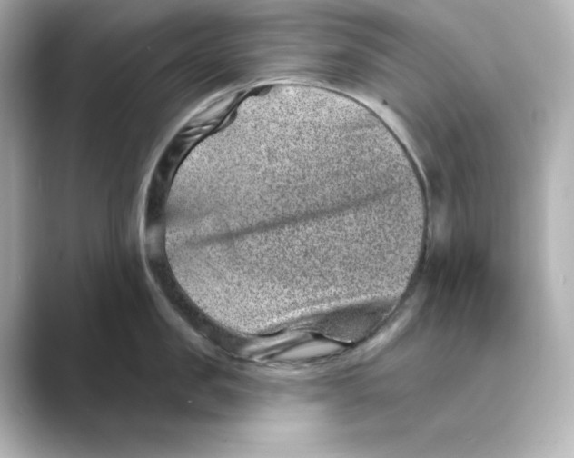 X0000088730957200706212036