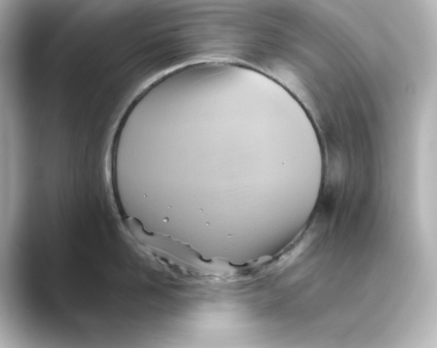 X0000088730958200706212036