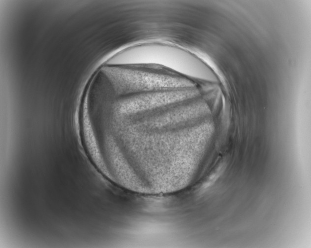 X0000088730959200706212036