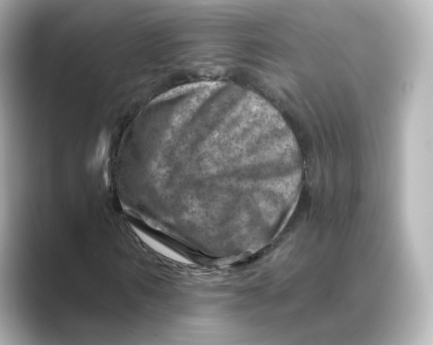 X0000088730962200706212036