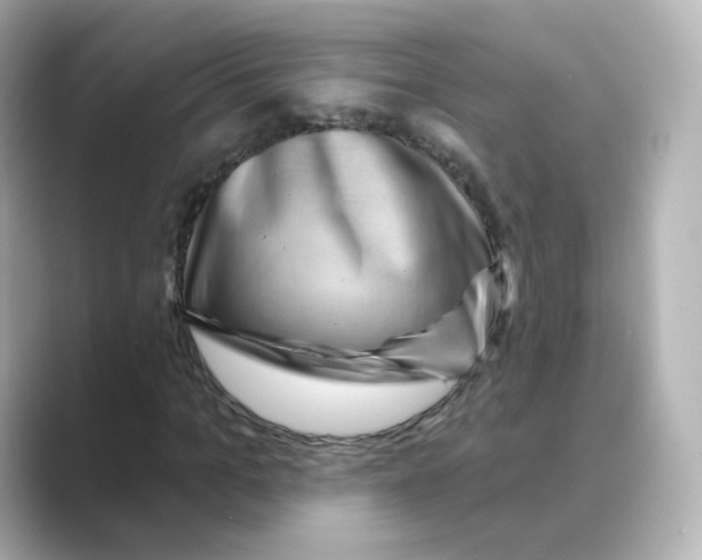 X0000088730965200706212036