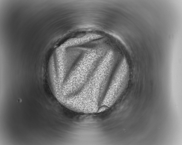 X0000088730967200706212036