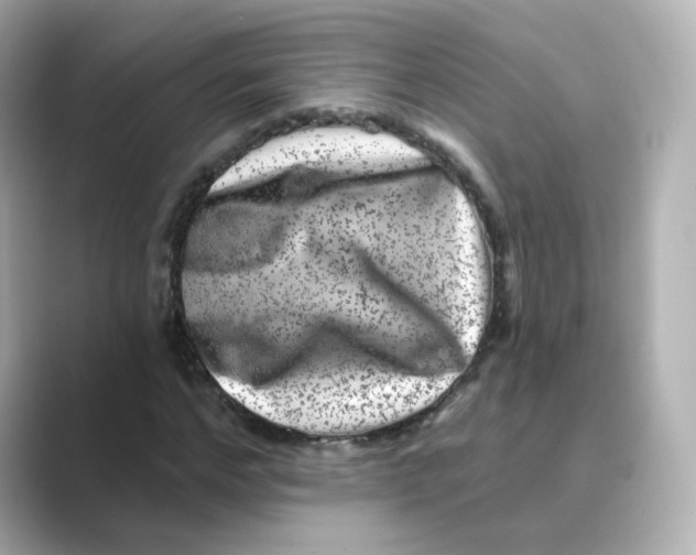 X0000088730968200706212036