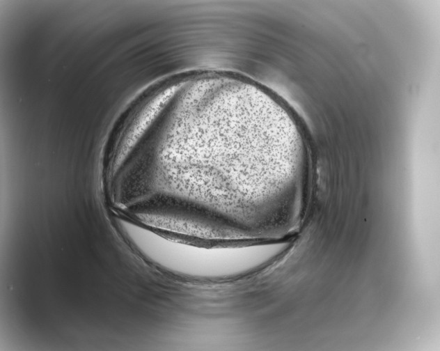 X0000088730972200706212036