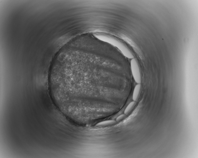 X0000088730977200706212036