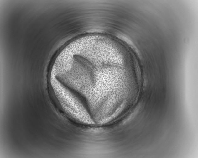 X0000088730978200706212036