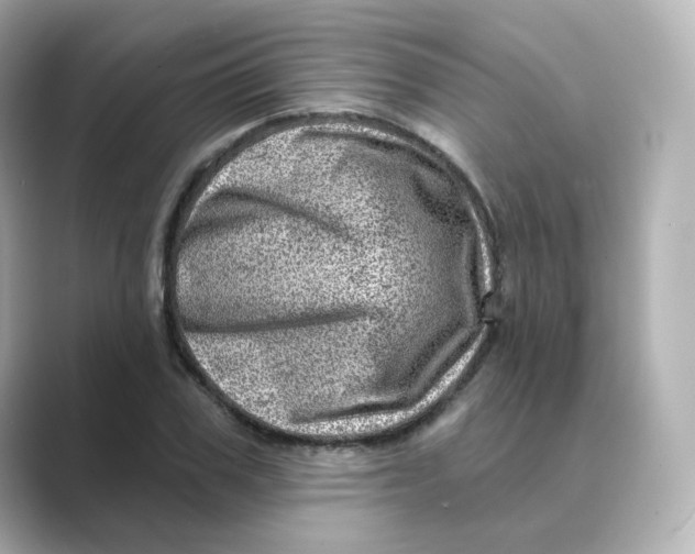 X0000088730979200706212036