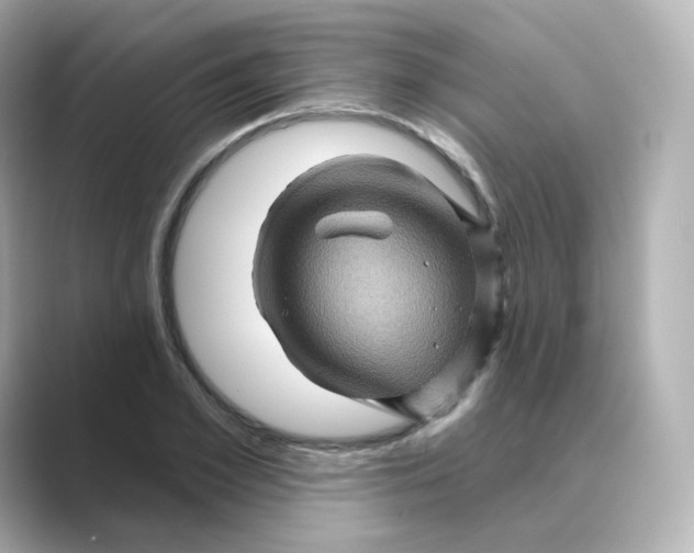 X0000088730981200706212036