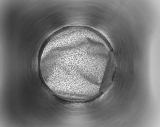 X0000088730982200706212036