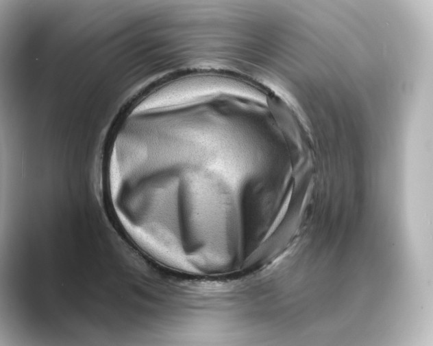 X0000088730984200706212036