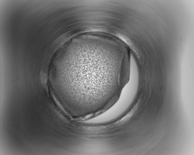 X0000088730985200706212036