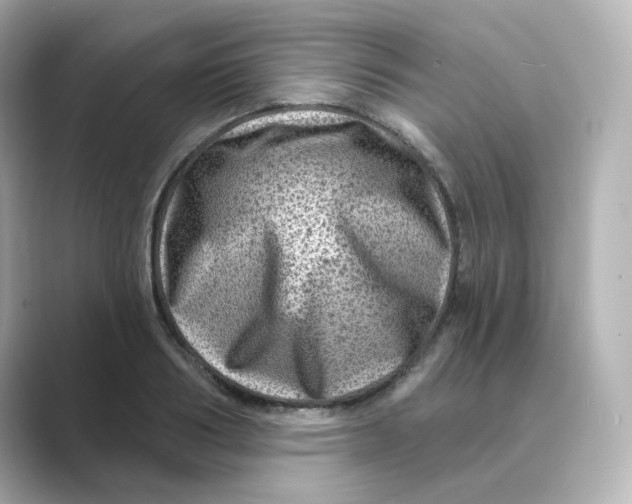 X0000088730986200706212036