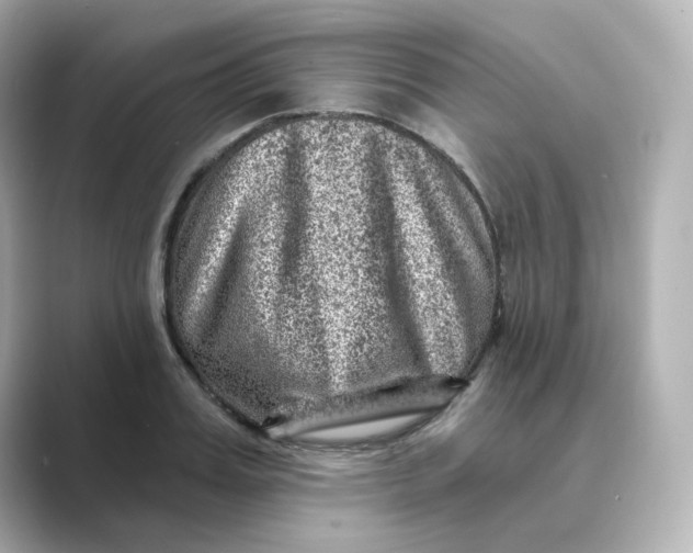 X0000088730987200706212036