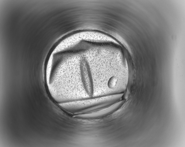 X0000088730988200706212036