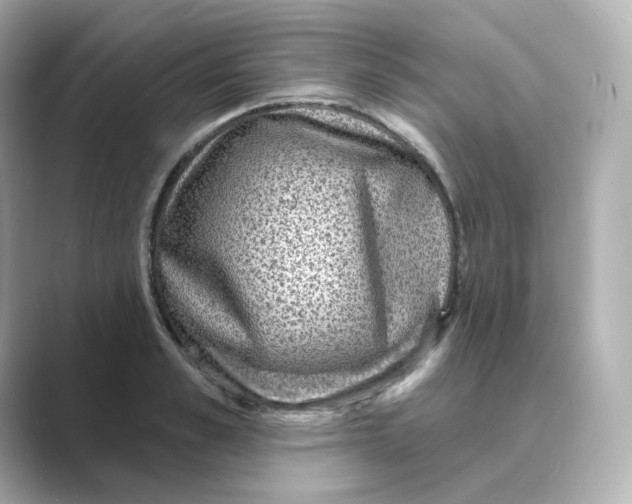 X0000088730989200706212036