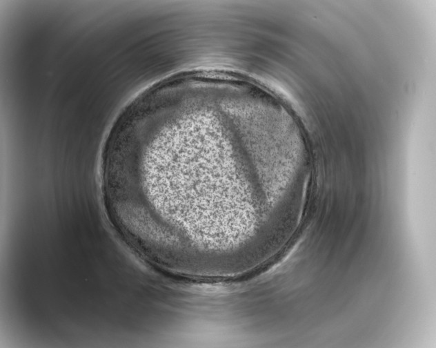 X0000088730990200706212036