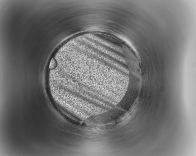 X0000088730991200706212036