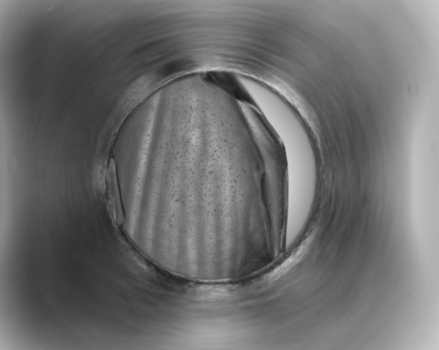 X0000088730993200706212036