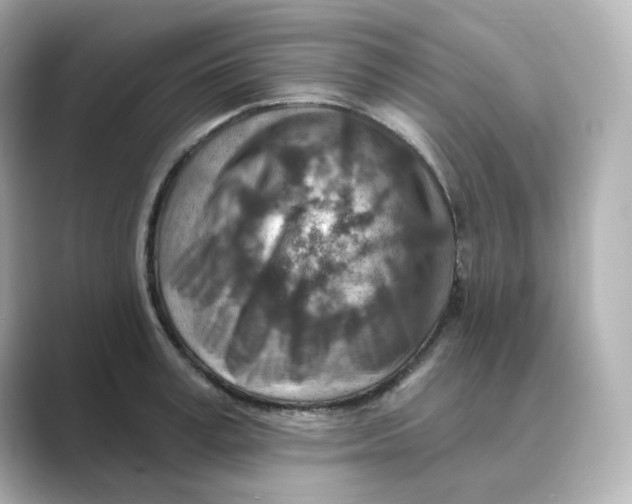 X0000088730995200706212036