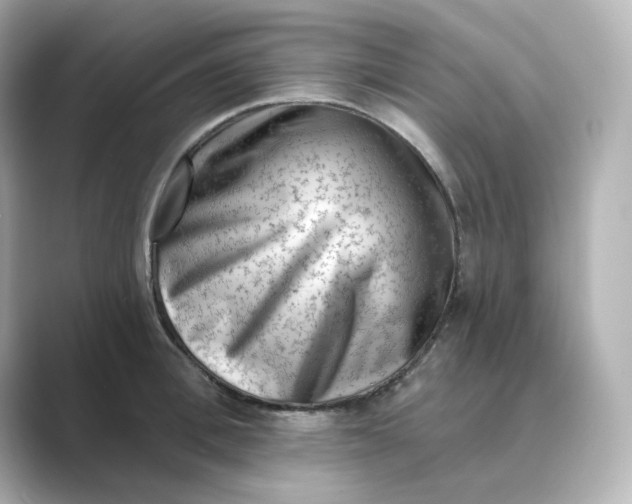 X0000088730996200706212036