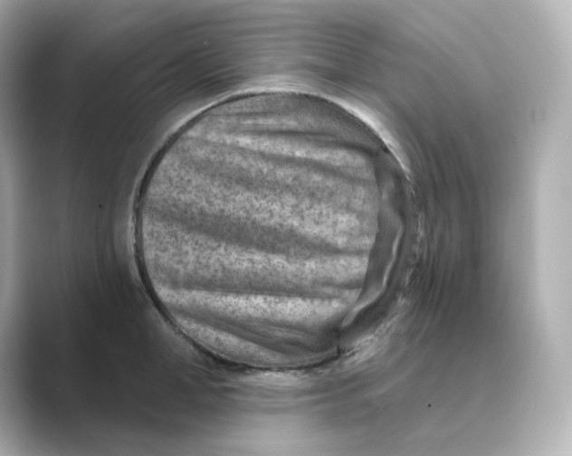 X0000088730998200706212035