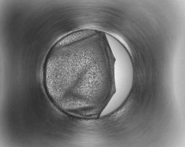 X0000088730999200706212035